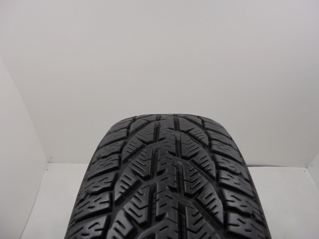 Sebring Snow tyre
