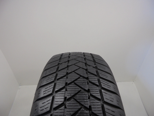 GT Radial Winter Pro 2 tyre