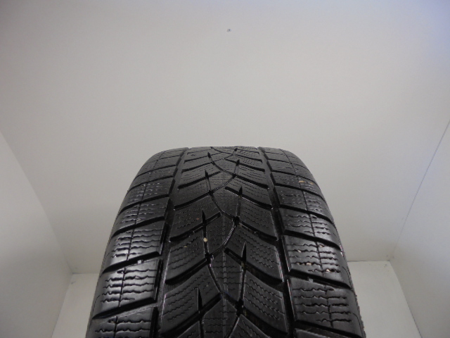 Goodyear Ultragrip Performance Gen1 tyre