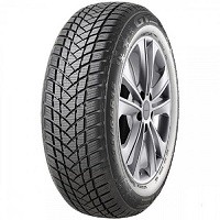 GT Radial GTRADIAL W-PRO2 XL tyre