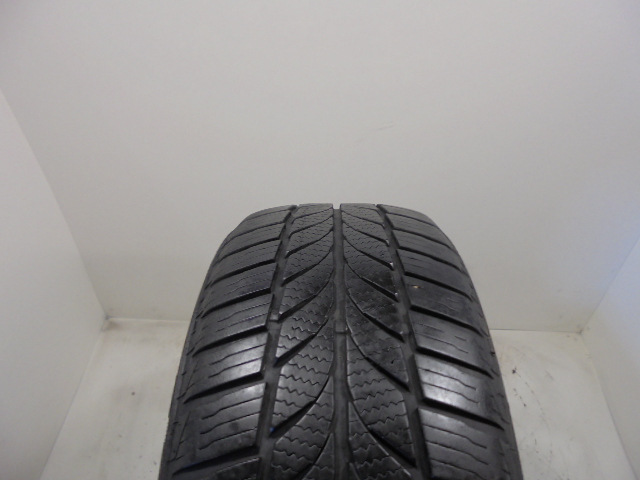 General Altimax AS 365 tyre