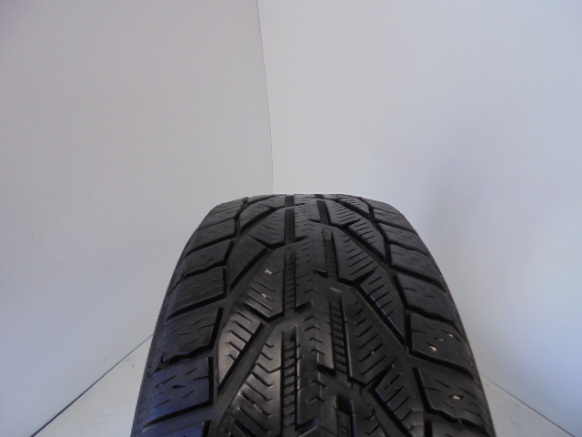 Riken Snow tyre