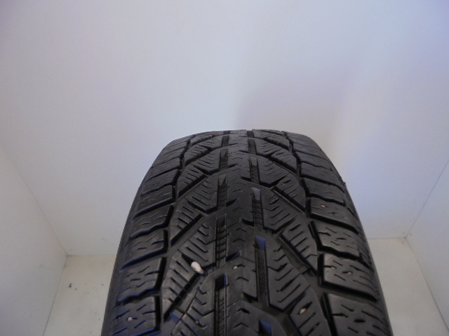 Riken Snow tyre