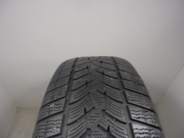 Goodyear Ultragrip Performance G1 tyre