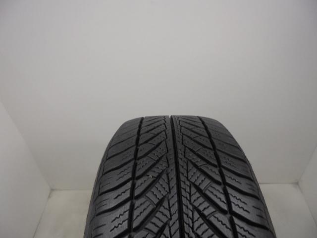Goodyear Ultragrip Performance 2 RSC tyre