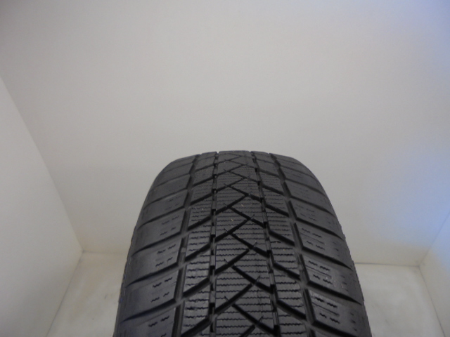 GT Radial Winter Pro2 tyre