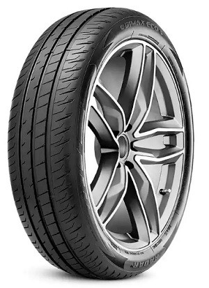 Radar 195/55R20 95H XL DIMAX ECO tyre