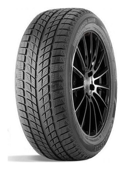 Doublestar DOUBLEST DW09 tyre